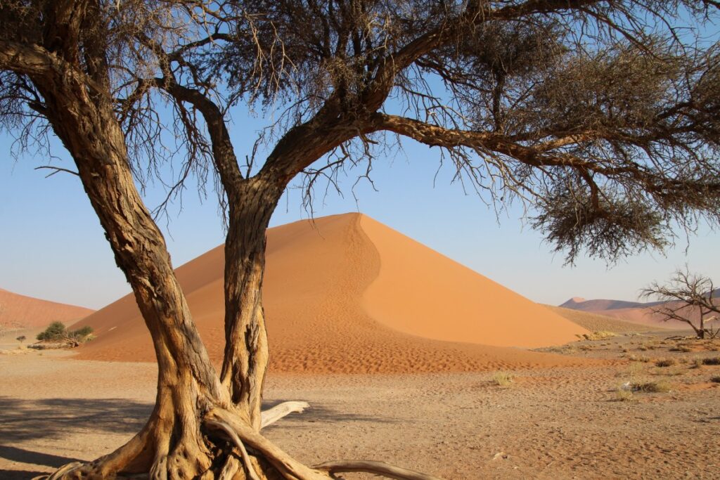 Imágenes del desierto